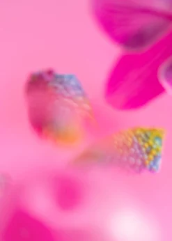 Crème Pour Les Mains Bois Arabesque