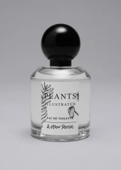 Eau De Toilette Solar Essay
