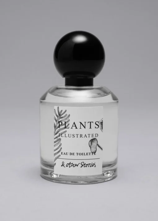 Eau De Toilette Solar Essay
