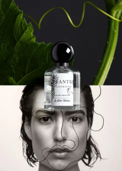 Eau De Toilette Solar Essay