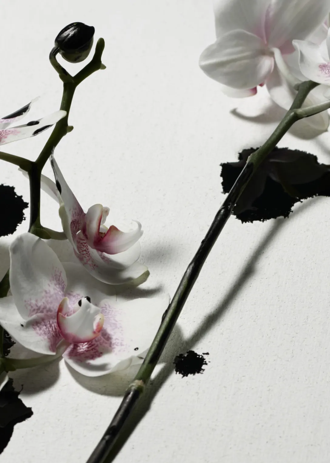 Lotion Corps Punk Bouquet