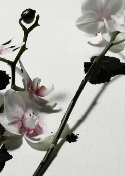 Parfum Roll-on Punk Bouquet